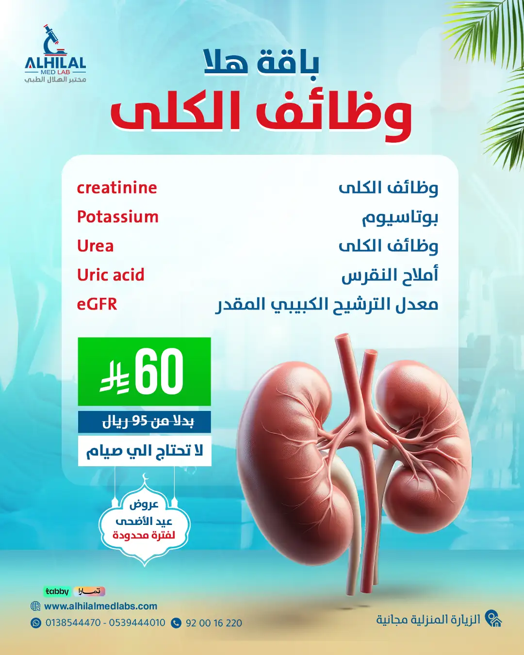 فحوصات وظائف الكلى